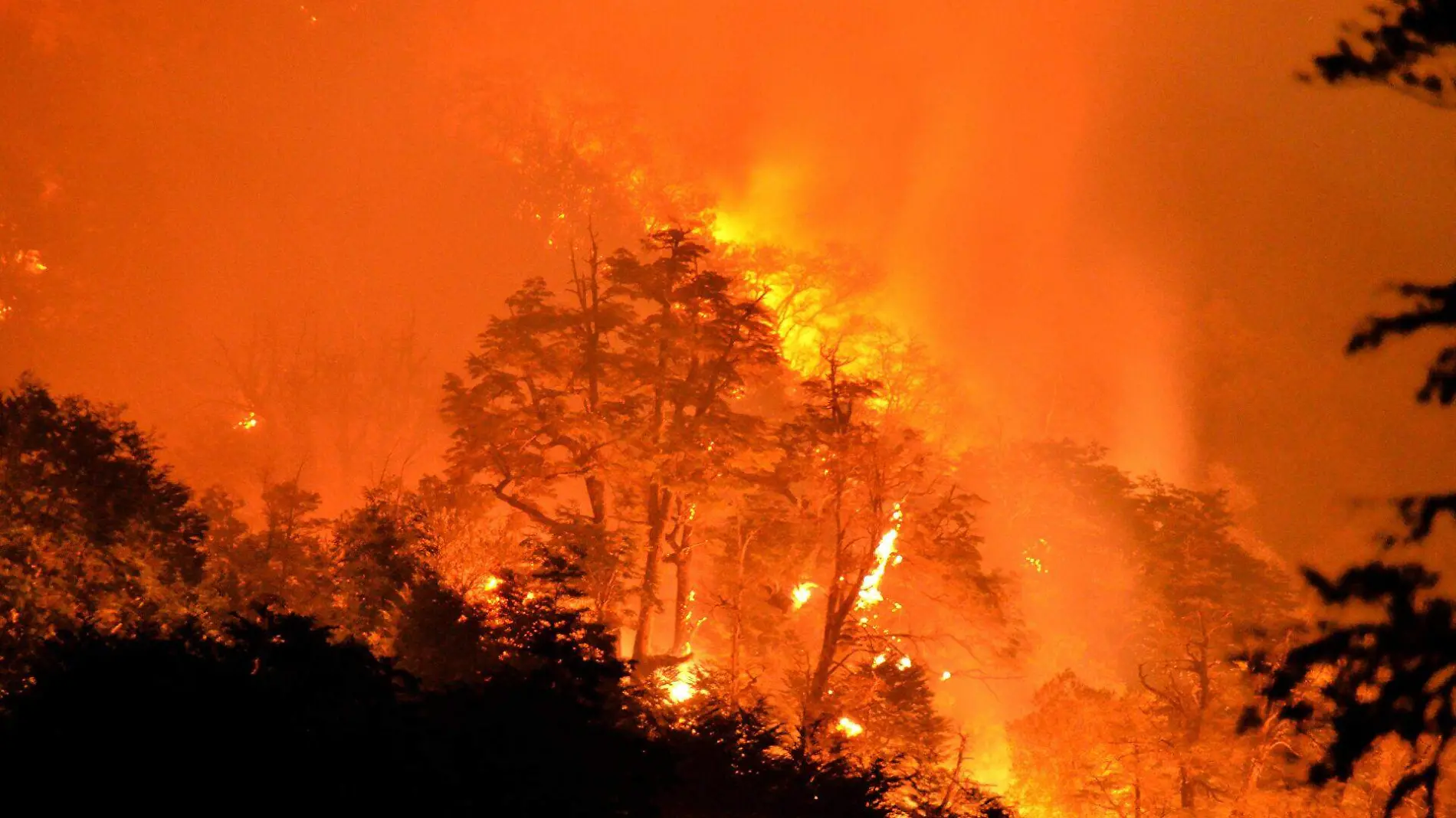 Incendios forestales-AFP